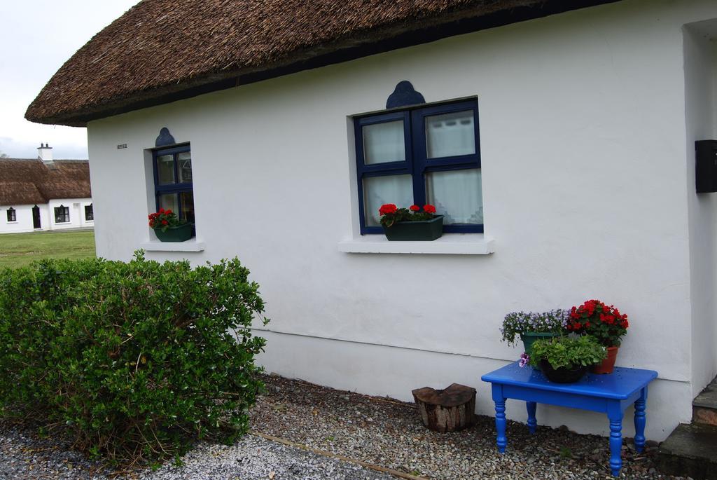 Old Killarney Cottages Zewnętrze zdjęcie